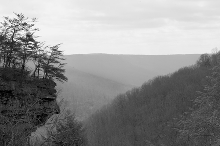 IMG_3038_w