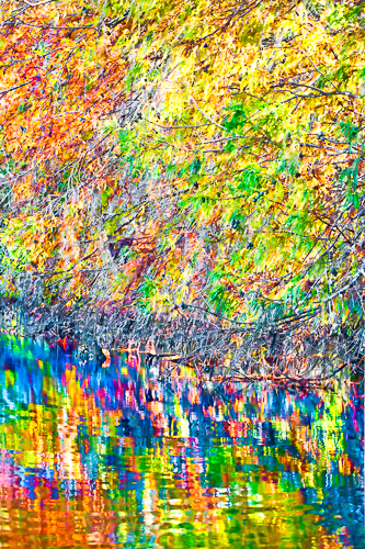 20111027-_MG_4038-Edit