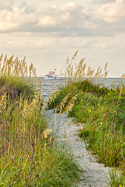 20090711-_MG_7468-Edit-5