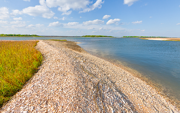 20110401-_MG_4246-Edit-Edit