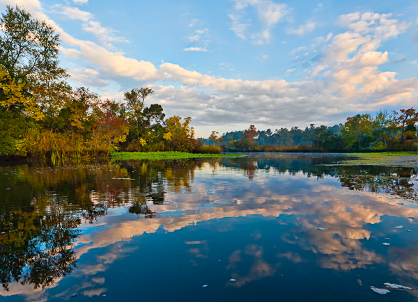 20111028-_MG_4341-Edit