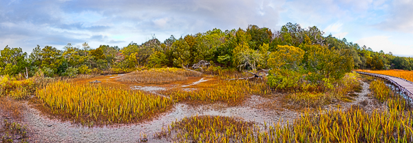 20111206-_MG_6038-52-pan_Edit-Edit
