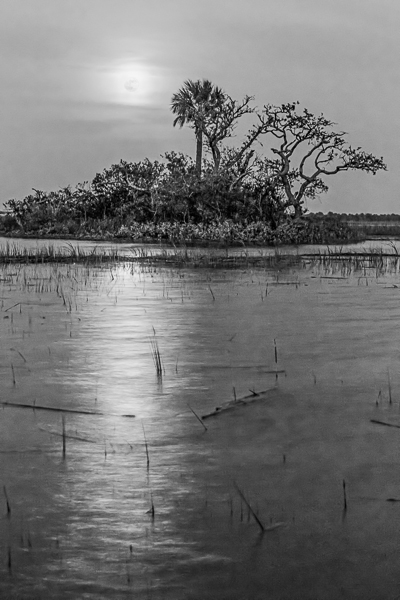 20120703-_89C9834-Edit-Edit-Edit