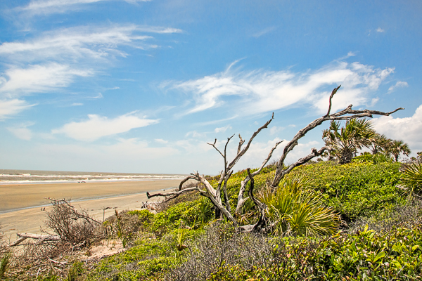 20130608-_89C0337-Edit
