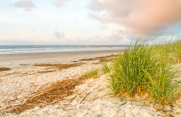 _MG_4238-Edit