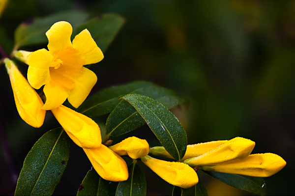 2011_03_15_3113-19_b-Edit