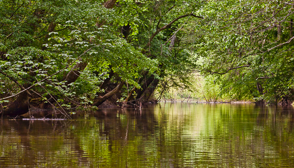 20110420-_MG_4913-Edit-3
