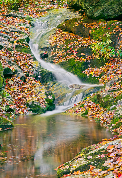 20111012-_MG_2981-Edit-Edit