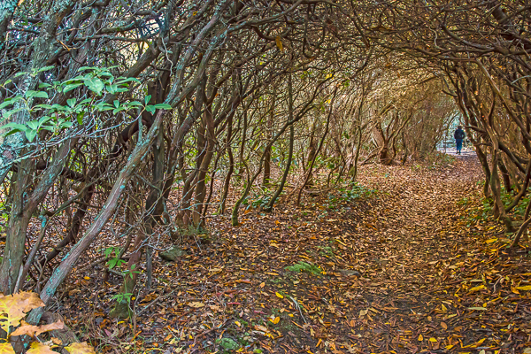 20121013-_89C7129-Edit