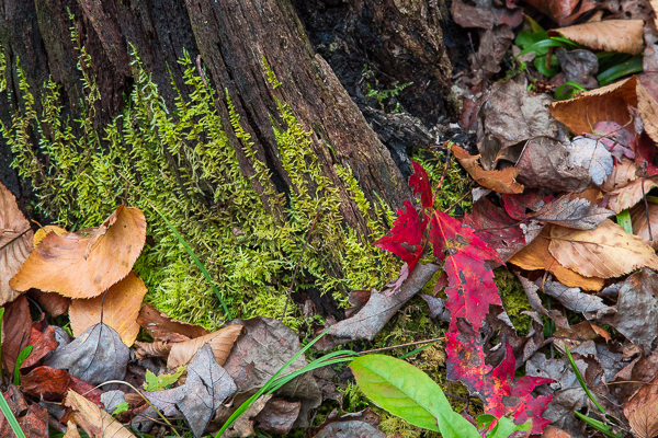 20121014-_89C7163