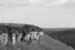 IMG_2634