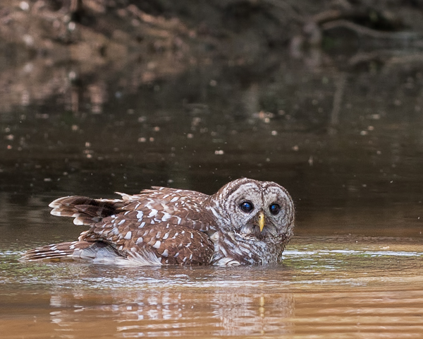 20120330-_MG_6139-Edit